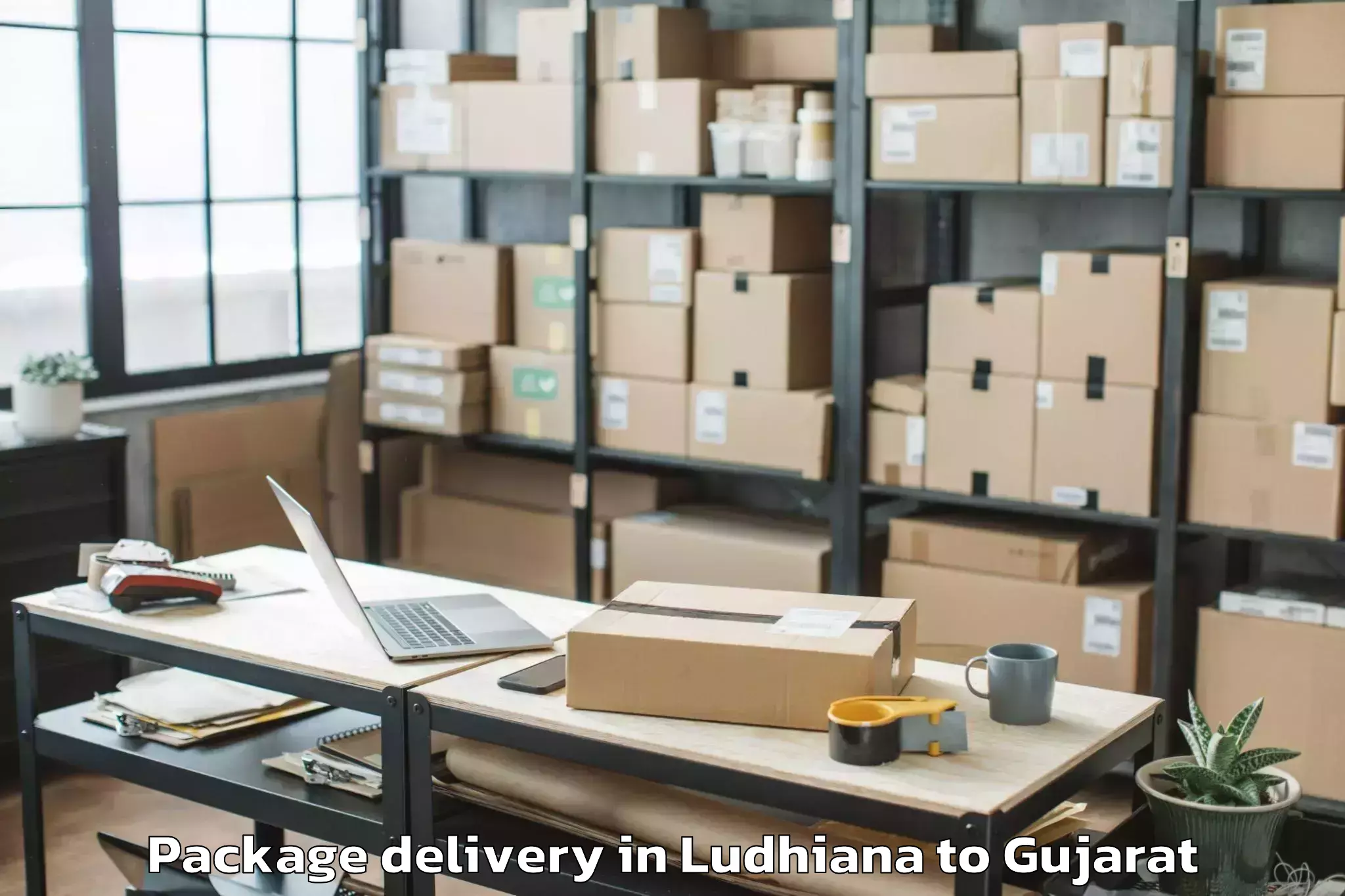 Get Ludhiana to Sardarkrushinagar Dantiwada Ag Package Delivery